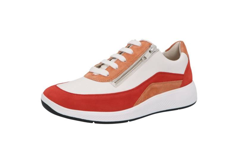 SOLIDUS Solidus weiblich Solidus Halea Halbschuh Leder Schnürschuh von SOLIDUS