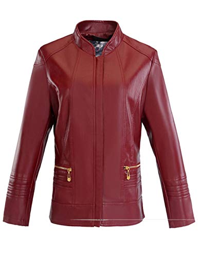 SOMTHRON Damen Klassische Stehkragen Lederjacke Casual Warm PU-Leder Jacke Mit Reißverschluss Plus Size 6XXXXXXL Herbst/Winter(WR,6XL) von SOMTHRON