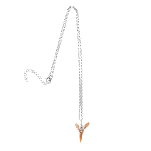 SOPOTUTU Echte Haifischzahn Halskette für Jungen Metallhalskette mit Echtem Haifischzahn Anhänger Cooler Schmuck für Strand und Surfer Looks Einzigartiges für Teenager und Männer von SOPOTUTU