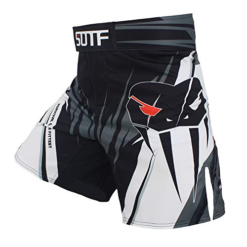 SOTF Herren MMA Stretch Shorts BJJ Grappling Bord Shorts - Grau - Mittel SOTF Herren MMA Stretch Shorts BJJ Grappling Bord Shorts - Grau - Mittel von SOTF