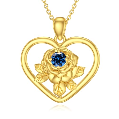 SOULMEET 14 Karat vergoldetem Silber Liebe Rose Birthstone Halskette für Frauen Frau Liebhaber Freundin Mutter Valentinstag Muttertag Geburtstag Geschenk (Dezember) von SOULMEET