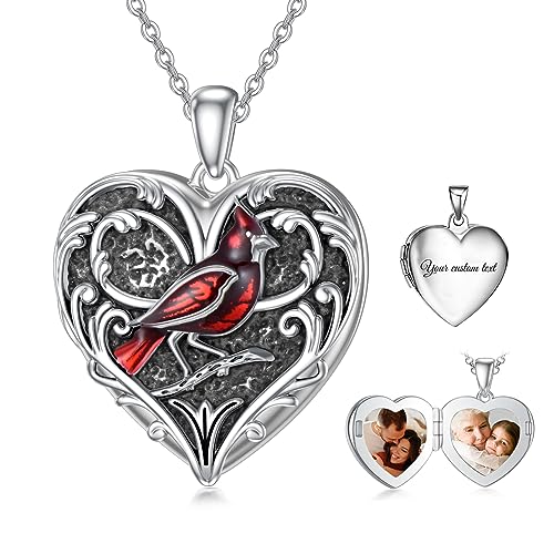 SOULMEET Halskette mit Eulen-Medaillon der Weisheit, Kolibri, Pfau / Vogelkardinal, der Bilder hält, Tierschmuck aus Sterlingsilber, Metall, nicht bekannt SOULMEET Halskette mit Eulen-Medaillon der Weisheit, Kolibri, Pfau / Vogelkardinal, der Bilder hält, Tierschmuck aus Sterlingsilber, Metall, nicht bekannt von SOULMEET