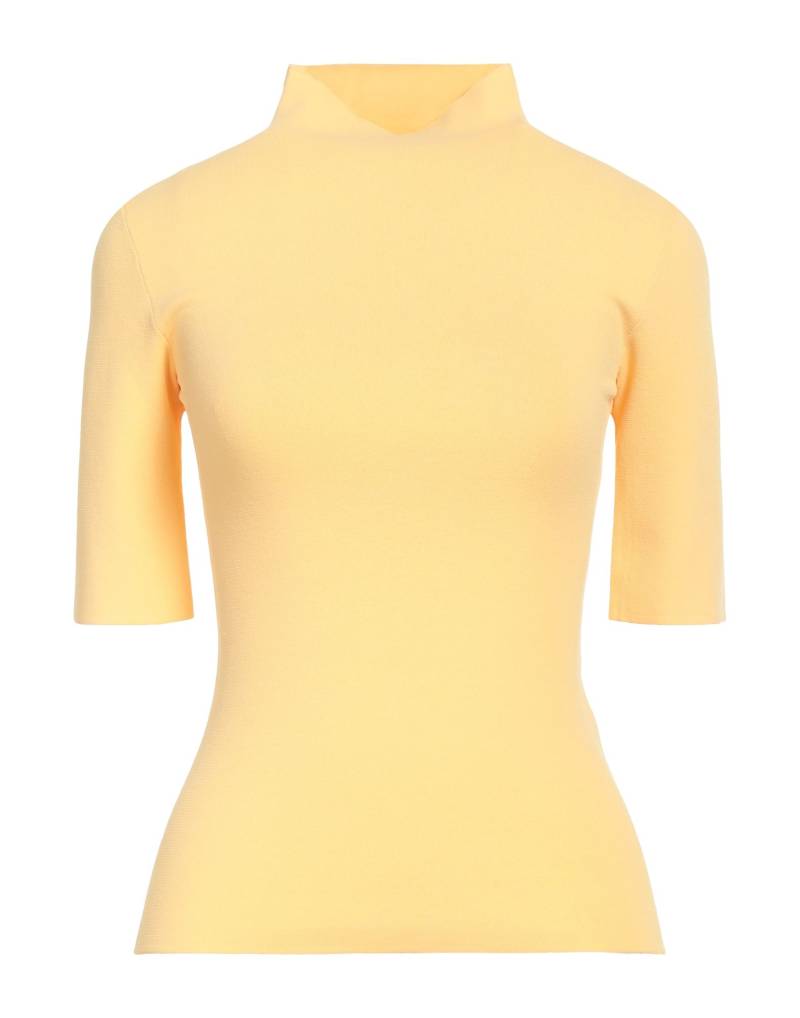 SPORTMAX Rollkragenpullover Damen Pfirsich von SPORTMAX