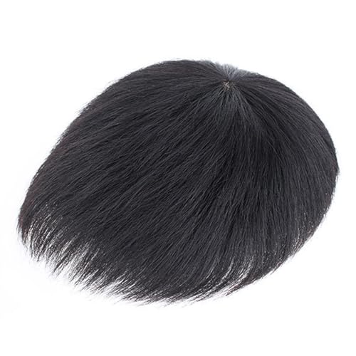 Haarteil FüR MäNner NatüRliches Schwarzes Kurzes Toupet FüR MäNner, Ersatzsysteme Aus Echtem Menschenhaar Mit Clip FüR Den TäGlichen Gebrauch Durch MäNner(B Style,16x18cm) von SQSZJBJMK