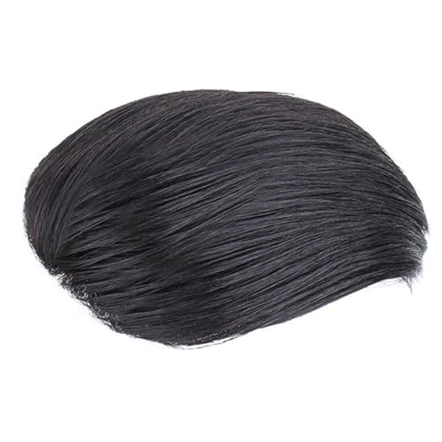 Haarteil FüR MäNner NatüRliches Schwarzes Kurzes Toupet FüR MäNner, Ersatzsysteme Aus Echtem Menschenhaar Mit Clip FüR Den TäGlichen Gebrauch Durch MäNner(D Style,16x18cm) von SQSZJBJMK