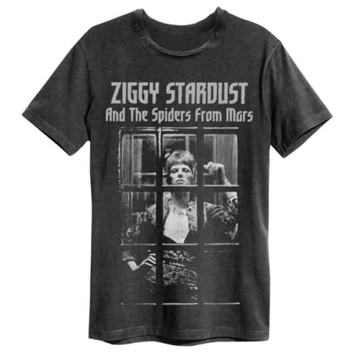 Amplified - Ziggy Stardust Spiders from Mars - Unisex T-Shirt von SSGTCKFM