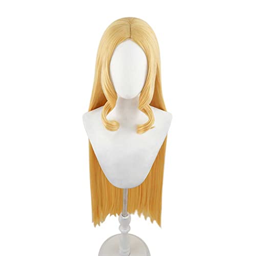 Anime Cosplay Wig，Fate Grand Order Ibaraki Doji Wig，Golden Long Straight Wig，with Free Wig Cap，for Christmas Carnival party Halloween Cosplay Wig von SSLQYLEE