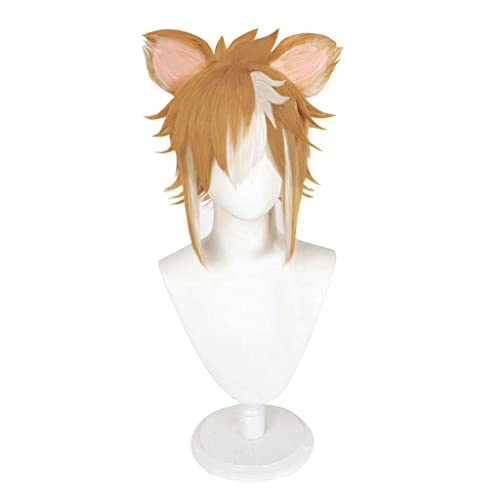Anime Cosplay Wig for Gorou Cosplay Wig,With Ears Brown Mix White Short Wig Synthetic Hair,Halloween Costume Cosplay,for Christmas Carnival Party von SSLQYLEE