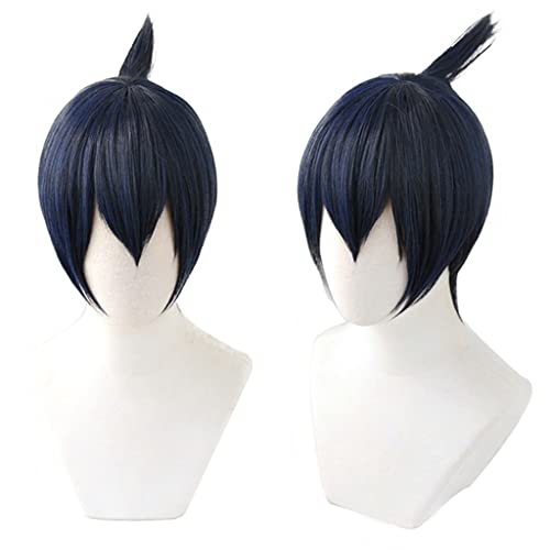 Anime Cosplay Wig for Hayakawa Aki Cosplay Wig,Blue Short Wig Synthetic Hair,Halloween Costume Cosplay,for Christmas Carnival Party von SSLQYLEE