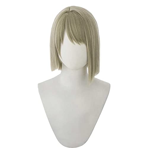 Anime Cosplay Wig for Nakasu Kasumi Cosplay Wig,Short Brown Wig Synthetic Hair,Halloween Costume Cosplay,for Christmas Carnival Party von SSLQYLEE