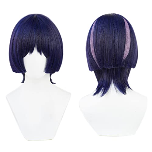 Anime Cosplay Wig for Scaramouche Cosplay Wig,Short Straight Wig Synthetic Hair,Halloween Costume Cosplay,for Christmas Carnival Party von SSLQYLEE