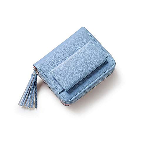 SSWERWEQ Geldbeutel Damen Frauen Kleine Mappen Short Geld Wallets Leder Lady Zipper Geldbörsen Mode-Kartenhalter (Color : Blue) von SSWERWEQ