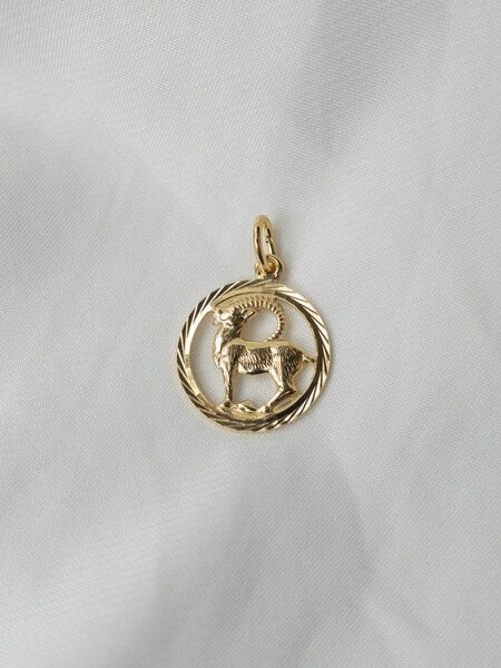 ST'ATOUR CAPRICORNUS // STEINBOCK – Sternzeichenanhänger OHNE Kette von ST'ATOUR