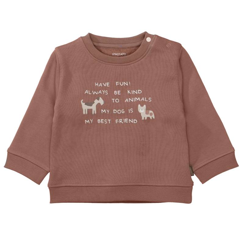 STACCATO - Kn.-Sweatshirt rust - Gr. - 68 von STACCATO