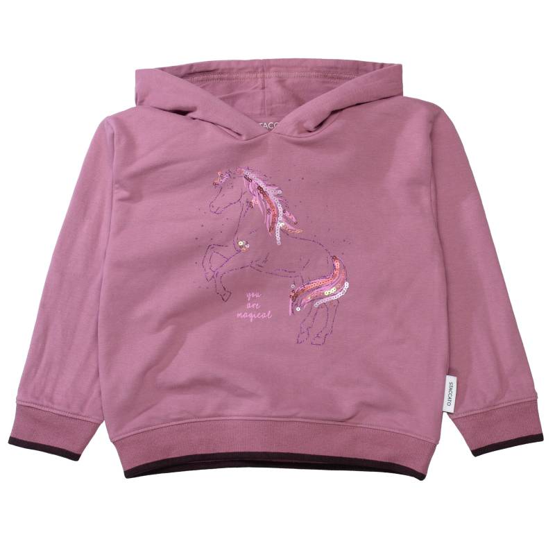 STACCATO - Md.-Hoodie plum von STACCATO