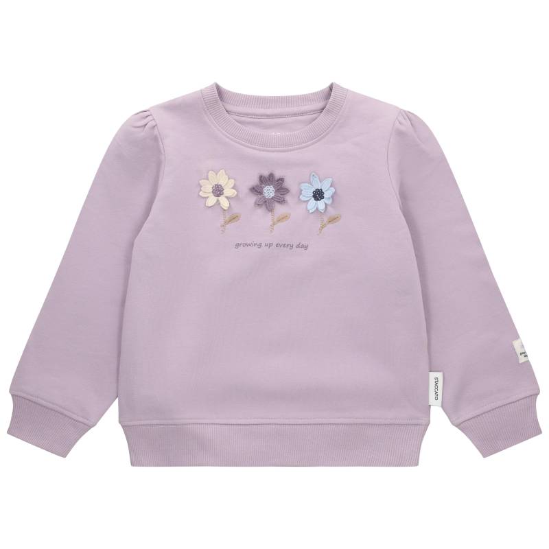 STACCATO - Md.-Sweatshirt lavendel von STACCATO