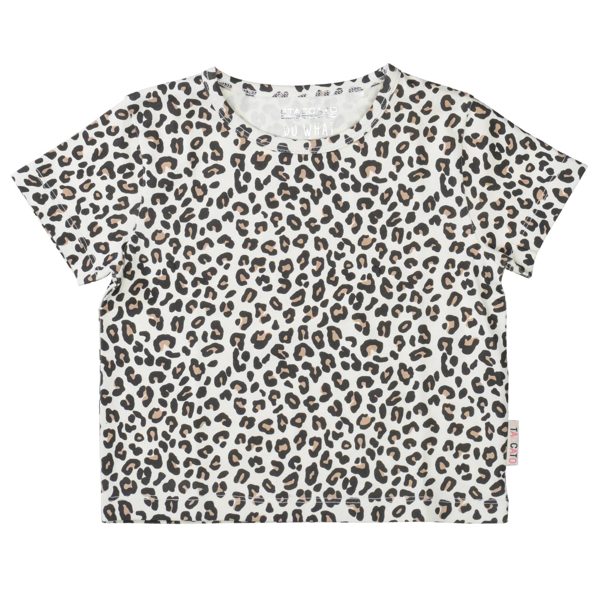 STACCATO - Md.-T-Shirt von STACCATO