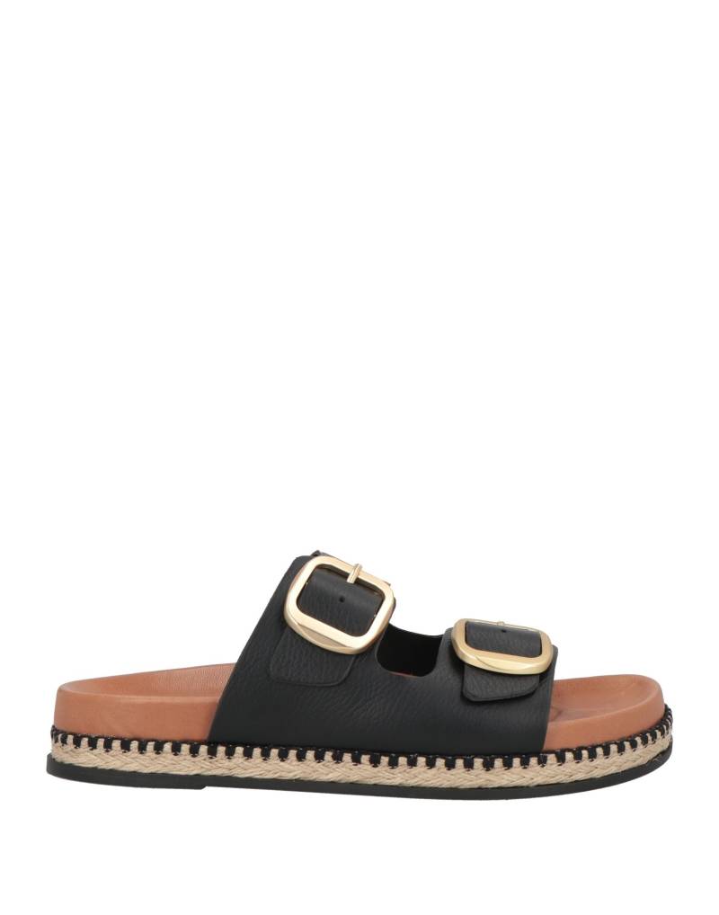 STEVE MADDEN Espadrilles Damen Schwarz von STEVE MADDEN