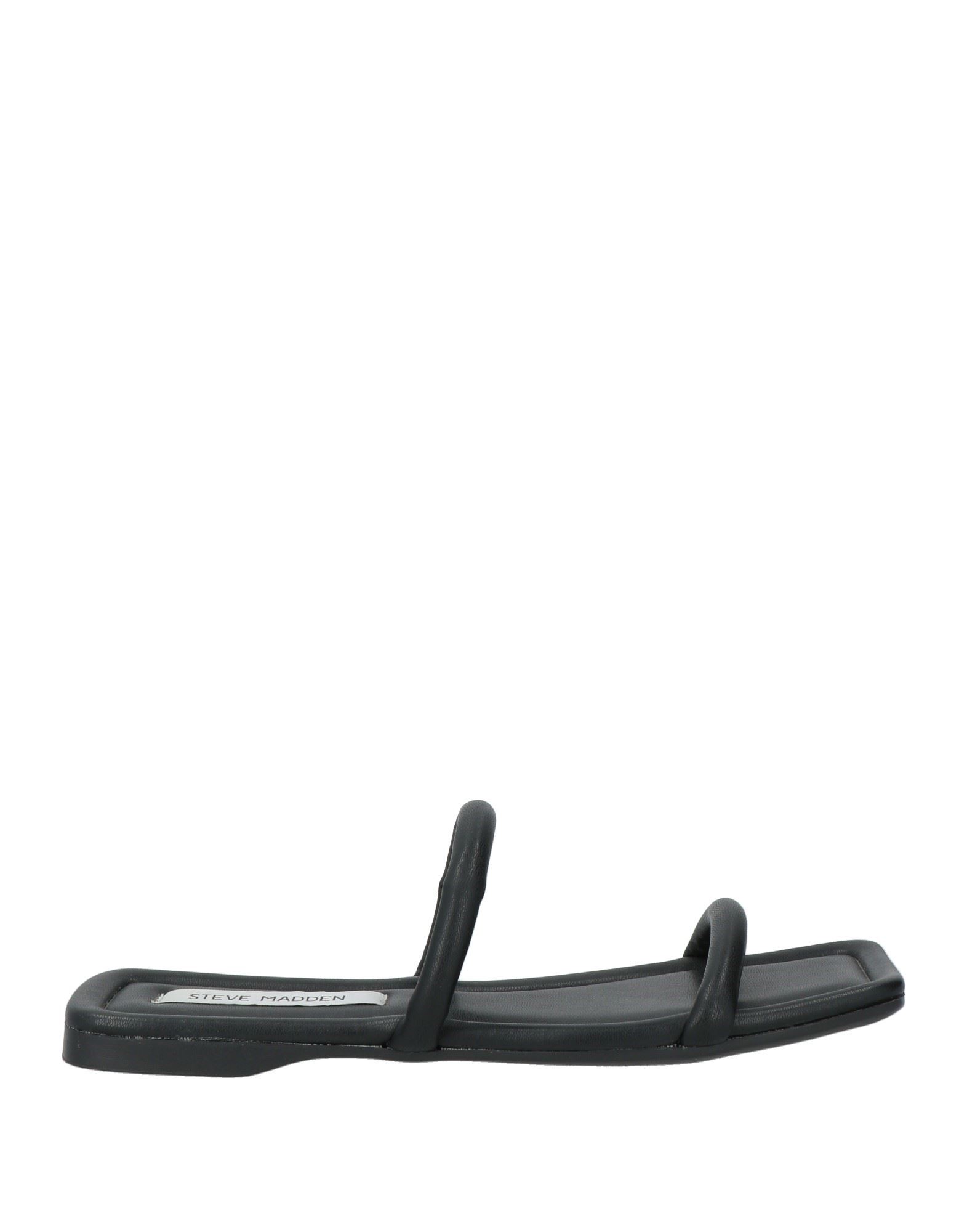 STEVE MADDEN Sandale Damen Schwarz von STEVE MADDEN