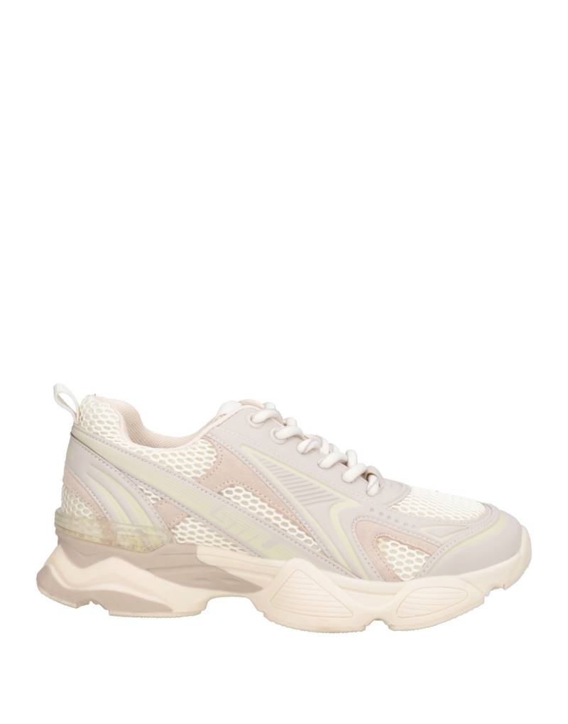STEVE MADDEN Sneakers Damen Lila von STEVE MADDEN