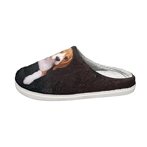 STUOARTE Damen-Hausschuhe für den Innenbereich, rutschfest, warm, bequem, leicht, gemütlich, Slipper, flauschige Hausschuhe für Damen und Mädchen, Beagle Dog Schwarz, 39.5/40 EU von STUOARTE