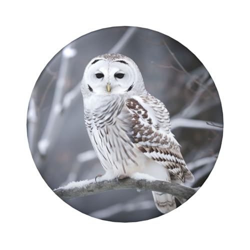 Anstecknadeln mit Eulenmotiv, 6,1 cm, rund, Metall, personalisierbar, für Bastelbedarf, Weihnachten, Party, Projekte, 12 Stück von STVYUKL