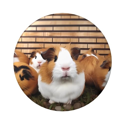 Anstecknadeln mit Meerschweinchen, 6,1 cm, rund, Metall, personalisierbar, für Bastelbedarf, Weihnachten, Party, Projekte, 12 Stück von STVYUKL