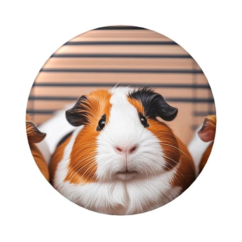 Anstecknadeln mit Meerschweinchen, 6,1 cm, rund, Metall, personalisierbar, für Bastelbedarf, Weihnachten, Party, Projekte, 12 Stück von STVYUKL