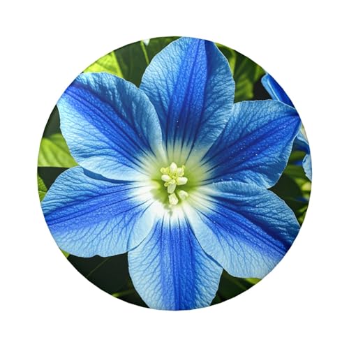 Blaue Blumen-Anstecknadeln, 6,1 cm, rund, Metall, personalisierbar, Bild, Foto, Anstecknadel-Set für Bastelbedarf, Weihnachten, DIY-Projekte von STVYUKL