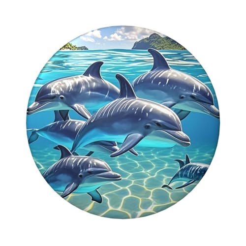 Delfin-Kunstknopfnadeln, 6,1 cm, rund, Metall, personalisierbar, Bild, Foto, Anstecknadel-Set für Bastelbedarf, Weihnachten, DIY-Projekte, 5 Stück von STVYUKL