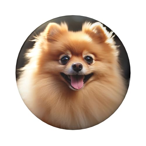 Pommersche Hundeknopfnadeln, 6,1 cm, rund, Metall, personalisierbar, Bild, Foto, Anstecknadel-Set für Bastelbedarf, Weihnachten, DIY-Projekte, 5 Stück von STVYUKL