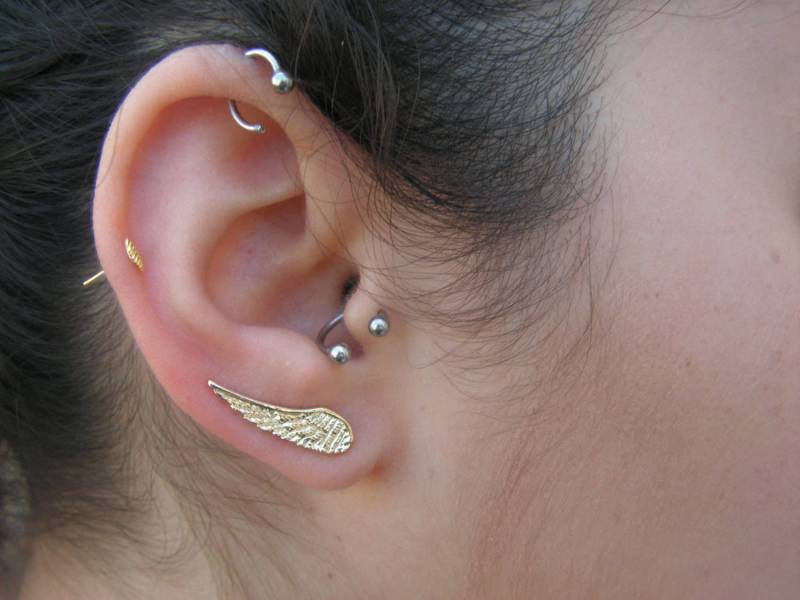 Kleiner Tragus Aus 14-Karätigem Gold. Septumring. Hufeisenohrring. Brustwarzenohrring. 14K Körperpiercing. Septum Stierkampfarena, Augenbraue Kleiner Tragus Aus 14-Karätigem Gold. Septumring. Hufeisenohrring. Brustwarzenohrring. 14K Körperpiercing. Septum Stierkampfarena, Augenbraue von STarLighTstudiO3