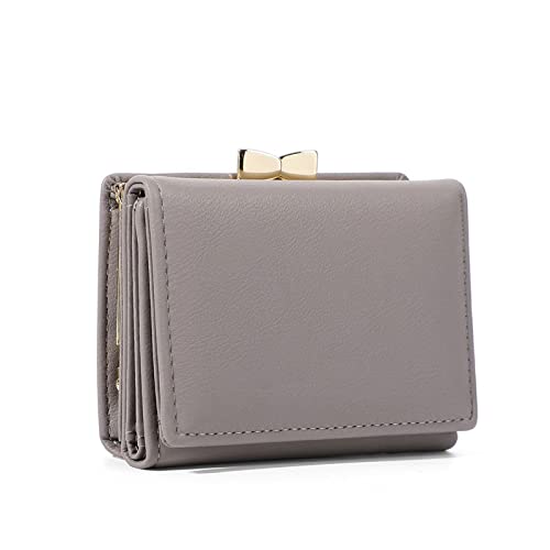 SUICRA Damen Geldbörse Kleine Clips Kupplung Kurze Brieftasche for Frauen Pu. Leder Münze Geldbörse Mini Kartenhalter Damen Brieftasche Weibliche Haspe Clutch (Color : Grijs) von SUICRA