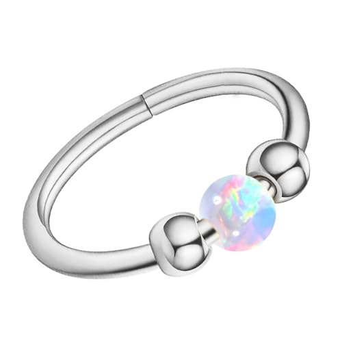 Nasenringe Reifen Nasen Studs Set Für Frauen Und Männer Hypoallergene Septum Ringe Accessoires Knorpel Ohrring Schmuckklicksegment Segment von SUMMITDRAGON