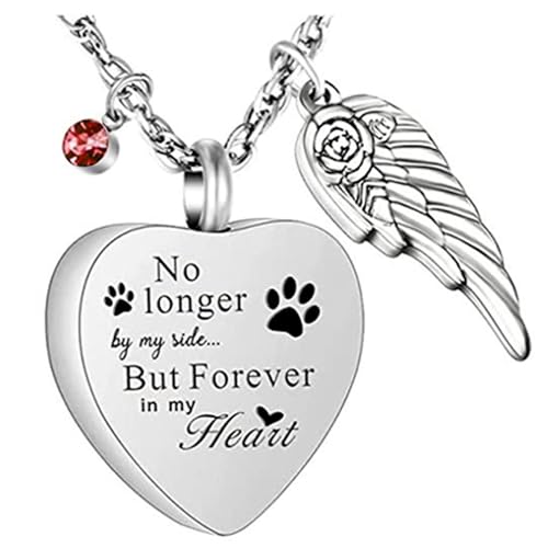 SUMMITDRAGON Edelstahl Herzflügel Anhänger Halskette Für Asche Oder Parfums Nachdenkliche Geschenke Für Erinnerungen Liebhaber Edelstahl Herz Flügel Halskette von SUMMITDRAGON