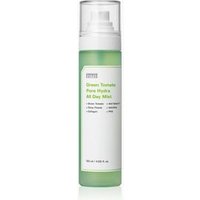 SUNGBOON EDITOR - Green Tomato Pore Hydra All Day Mist 120ml SUNGBOON EDITOR - Green Tomato Pore Hydra All Day Mist 120ml von SUNGBOON EDITOR