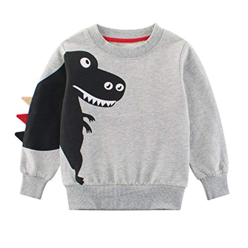 SUPFANS Jungen Süße Dinosaurier Sweatshirts Pullover Pullover Baumwolle T-Rex Langarm Tops Kleinkind T-Shirt Gr. 3 Jahre, 01 grau von SUPFANS