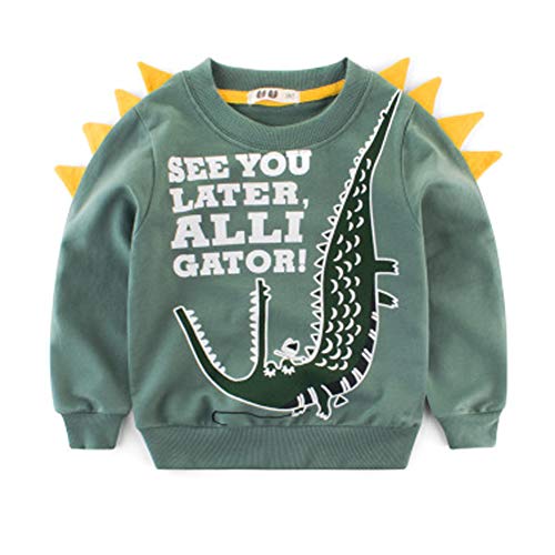 SUPFANS Jungen Süße Dinosaurier Sweatshirts Pullover Pullover Baumwolle T-Rex Langarm Tops Kleinkind T-Shirt Gr. 4 Jahre, 02 grün von SUPFANS