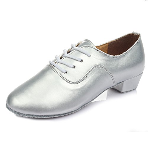 SWDZM Herren Tanzschuhe Standard und Latein Salsa Tango Modern Jazz Ballsaal Mit Niedriger 2.5cm,702,Silber,Wildleder,40 EU von SWDZM