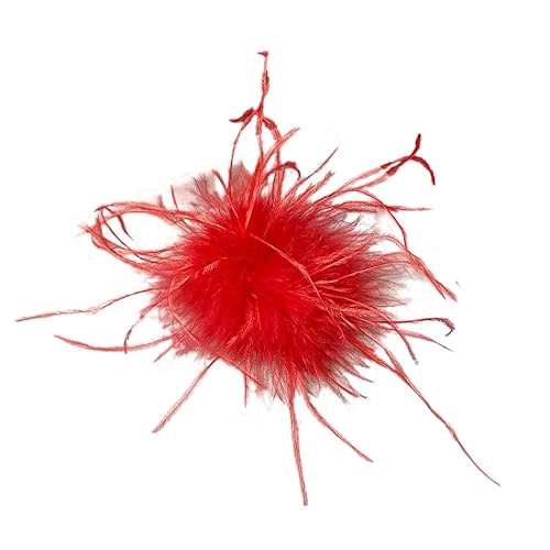 2 Stücke Feder Brosche für Frauen Mädchen, Natürliche Straußenfeder Ansteckbrosche Federbrosche Pins Kleid Zubehör Haar Accessoire Fascinators Kopfbedeckung für Hochzeit Party Festival-Rot von SYSUII