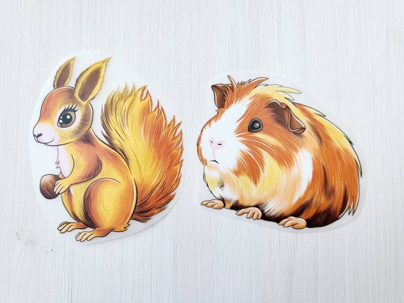 Bügelbild Meerschweinchen Eichhörnchen Bügelmotiv Patch Transfer Iron On von SafuriDesign