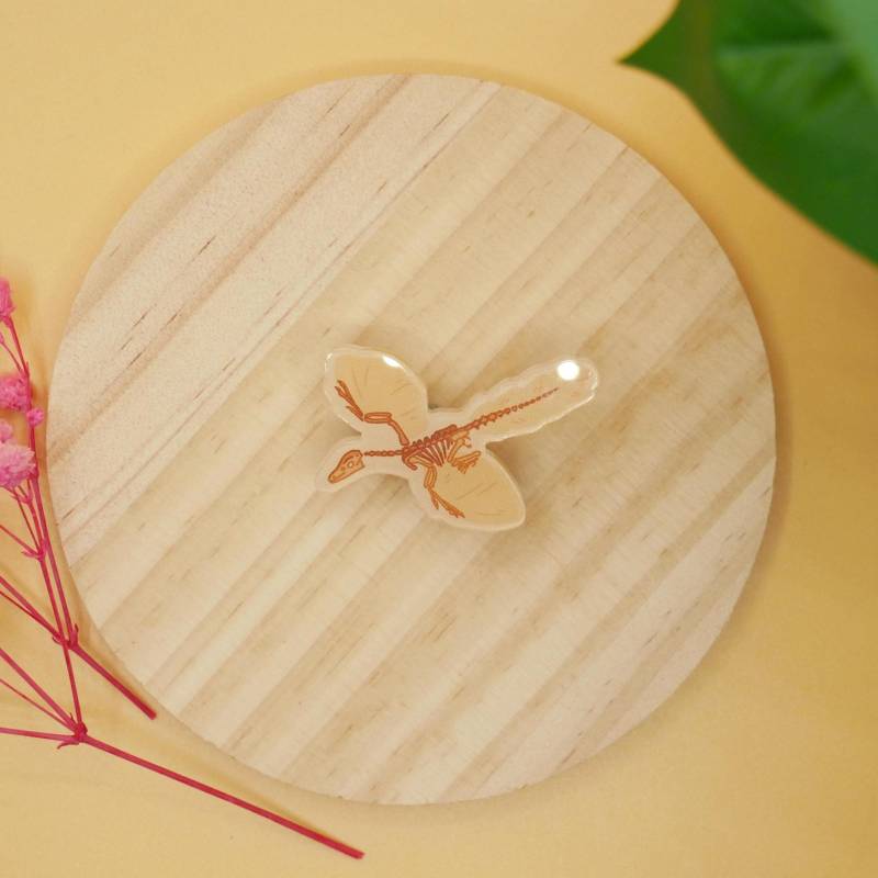 Archaeopteryx Acryl Pin Anstecker von SaiTheTinyMagpie