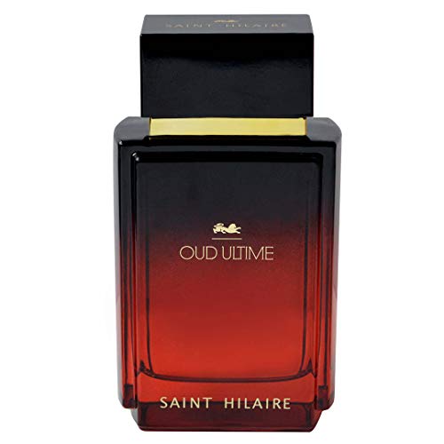 SAINT HILAIRE - Iris, ABSOLU, 100 ml, Eau de Parfum – Herren von Saint Hilaire
