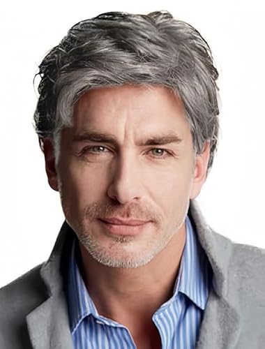 Salaibs Grau Kurze Perücken für Männer Natürliche geschichtete synthetische Haar Perücke Realistische Hitzebeständige männliche tägliche Kappe Perücke von Salaibs