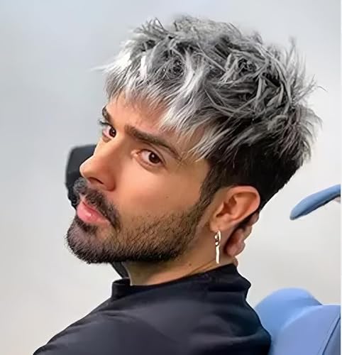 Salaibs Herren Grau Mix Schwarz Kurze Perücke Layered Natürliche Fluffy Synthetische Faser Haar Perücken für den täglichen Gebrauch von Salaibs