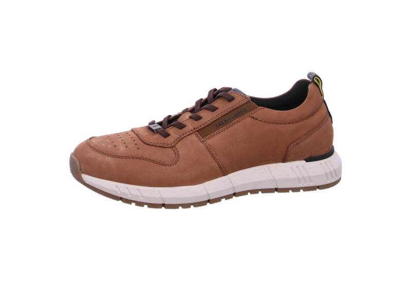 Salamander Bamberg Schnürschuh von Salamander