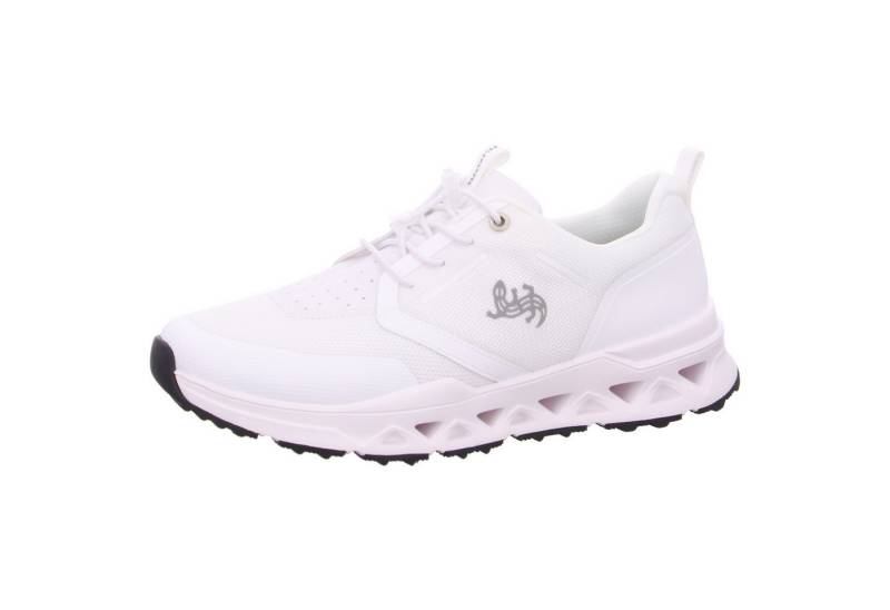 Salamander Schnürschuh von Salamander