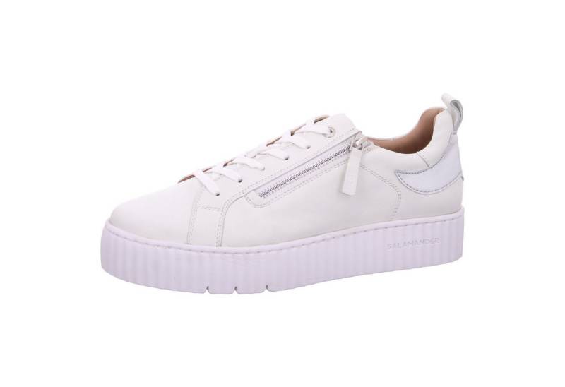 Salamander Schnürschuh von Salamander