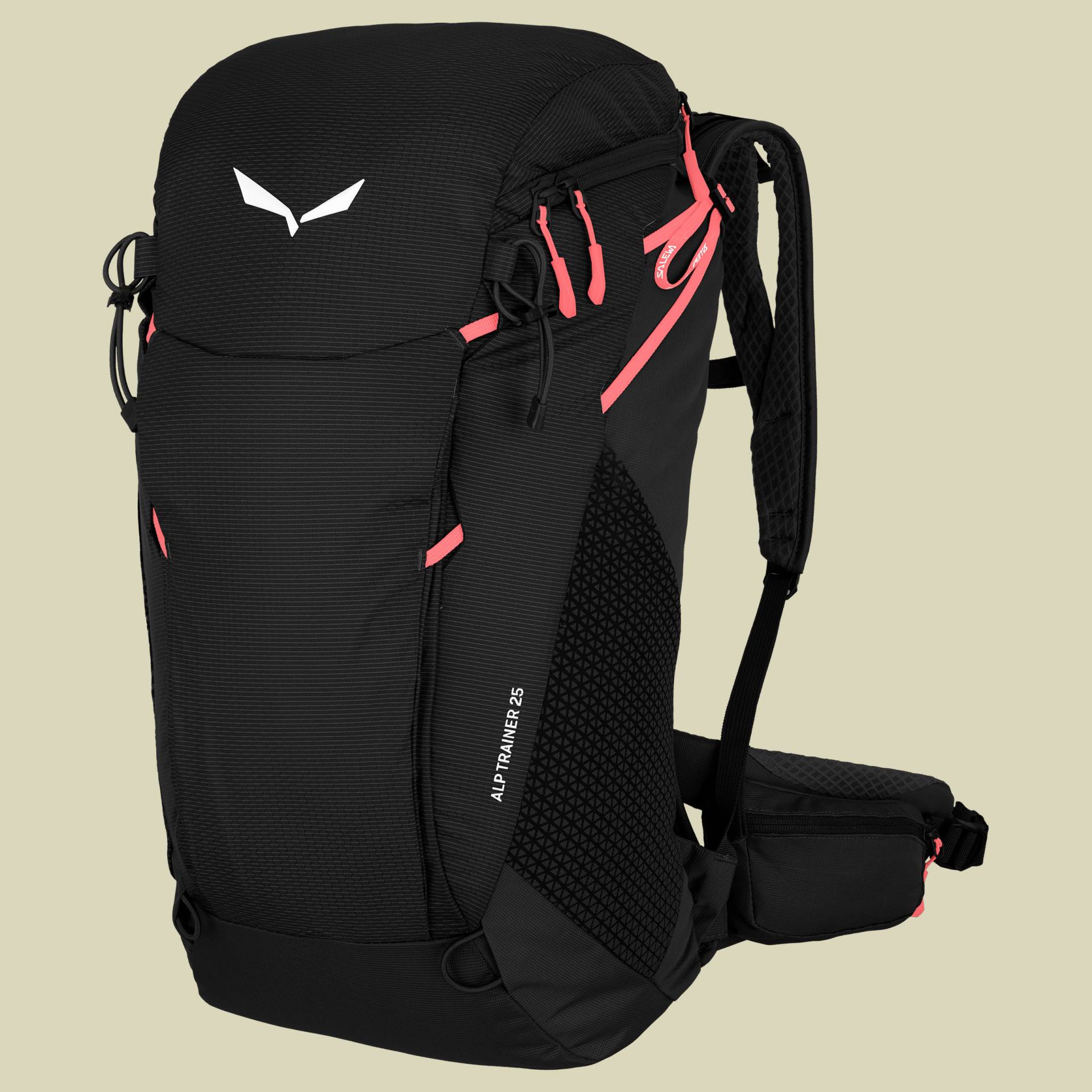Alp Trainer 25 Volumen 25 Farbe black out von Salewa