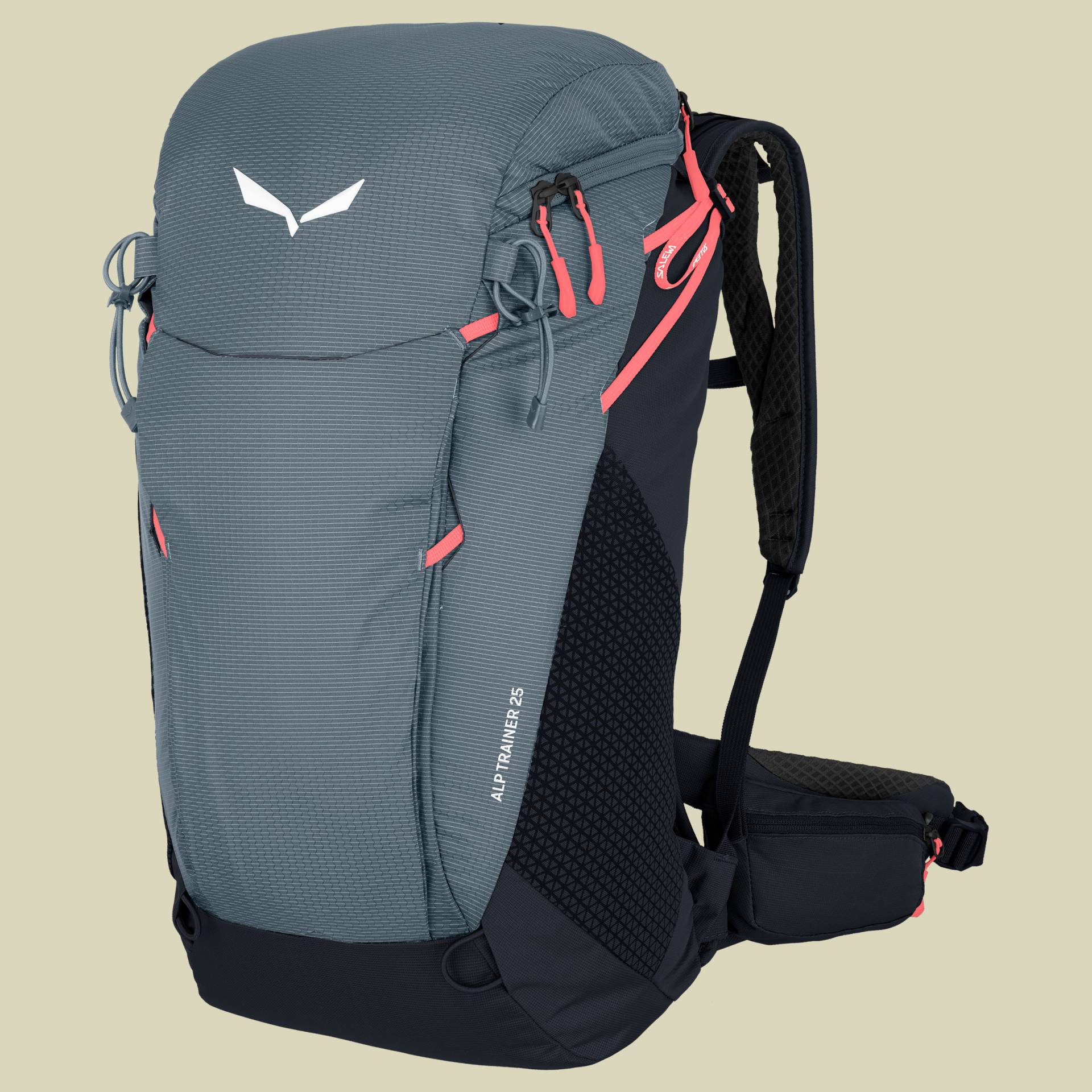 Alp Trainer 25 Volumen 25 Farbe java blue von Salewa